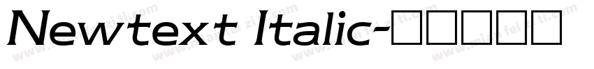 Newtext Italic字体转换